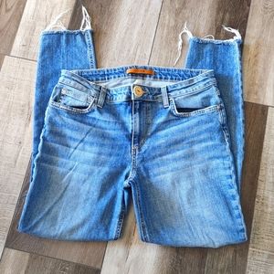 Joe's Jeans The Icon Collectors Edition